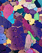 Polarised LM of a thin section of monzonite rock
