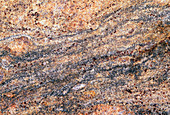 Cut surface showing granite invading gneiss
