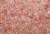 Cut surface of red granite with phenocrysts