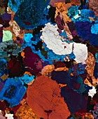 Polarised LM of thin section of grain diorite rock