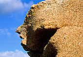 Profile of a face in rhyolite rock cliff