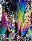 Prehnite mineral,light micrograph