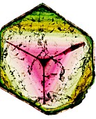 Tourmaline crystal