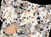 Polished white granite