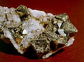 Octahedral crystals of Pyrite