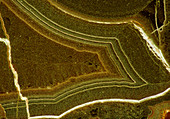 Macrophoto of polished Haematite (iron oxide)
