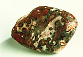 Red leopard jasper rock