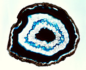 Cut agate