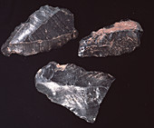 Neolithic stone tools