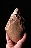 Stone tool,Galeria