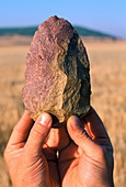Stone tool,Sima de los Huesos