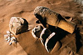 Levallois stone tools