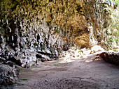 Liang Bua cave,Flores,Indonesia