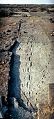 Hominid footprints