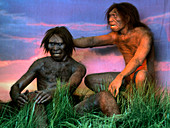 Models of Homo erectus men