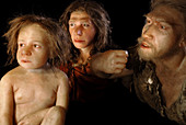 Models of Neanderthal males