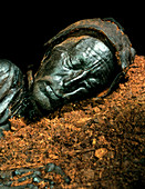 The mummified well-preserved head of Tollund Man