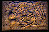 Stone age human skeletons