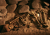 Burial of a Viking woman