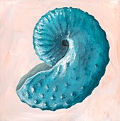 Discoscaphites ammonite,artwork