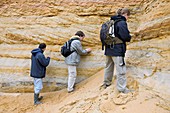 Palaeontologists searching for amber