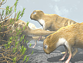 Phoberomys pattersoni,prehistoric rodent