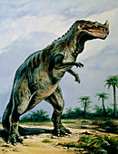 Artist's impression of Ceratosaurus nasicornis