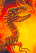 Enhanced image of a Tyrannosaurus rex skeleton