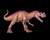 Ceratosaurus dinosaur