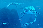 Elasmosaurus marine reptiles