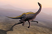 Ornithomimus dinosaur