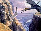 Flying pterosaurs