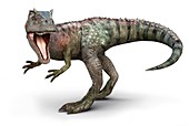 Allosaurus dinosaur,artwork