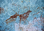 Cave painting of kudu,Zimbabwe