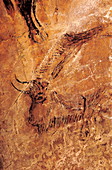 Niaux cave painting
