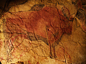 Altamira cave painting of a bison