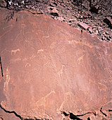 Ancient petroglyphs