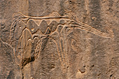 Prehistoric petroglyph