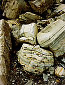 Blocks of oil shale (marlstone)