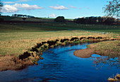 Erosion of riverbank caused by flooding