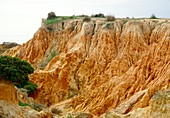 Erosion of a sandstone slope