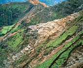 Soil erosion on the sides of a canyon