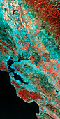 False-col satellite image of Central California