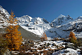 Roseg valley in the Swiss Alps