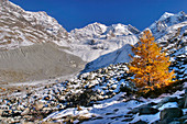 Piz Bernina peak in the Swiss Alps