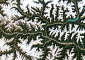 Eastern Himalayas,satellite image