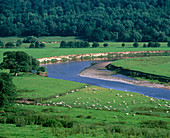 A meander in the River Severn