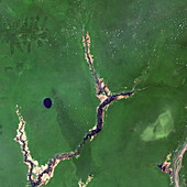 River Congo in forest
