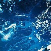 Space shuttle photo of river deltas in Borneo