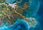 Mississippi Delta,satellite image